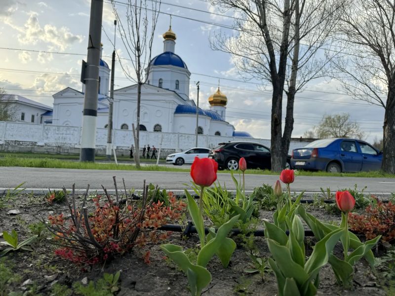 Улицы, переулки и объекты в Самарской области досконально обследуют полицейские, казаки, росгвардейцы и сотрудники ЧОП