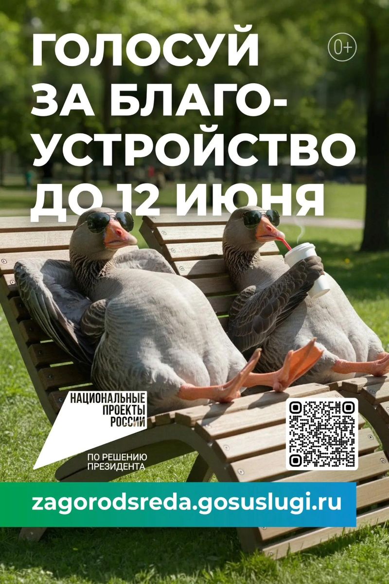 До 12 июня в Сызрани продлится голосование по программе «Формирование комфортной городской среды»