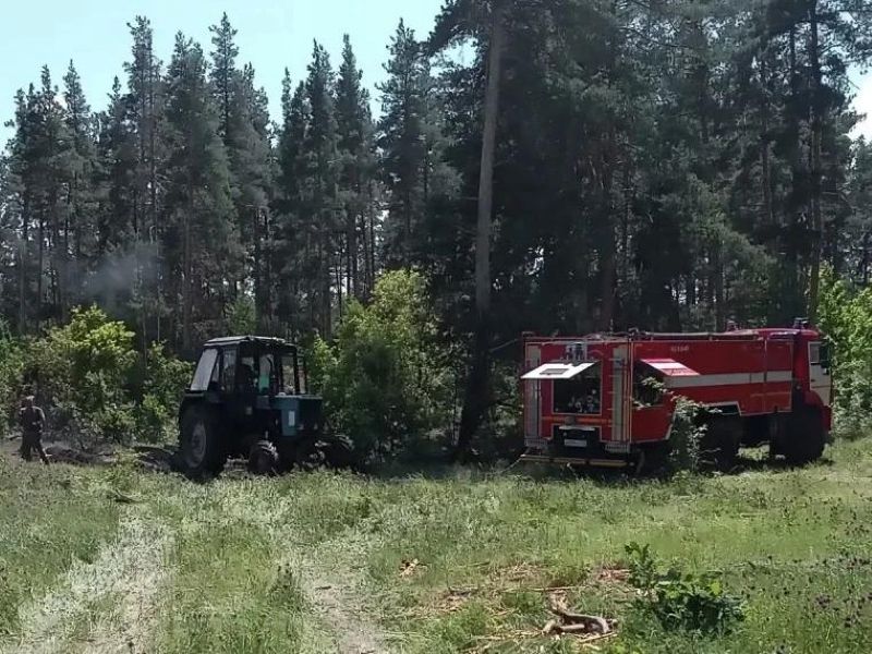 В День России обломки БПЛА упали в лесничестве Сызранского района