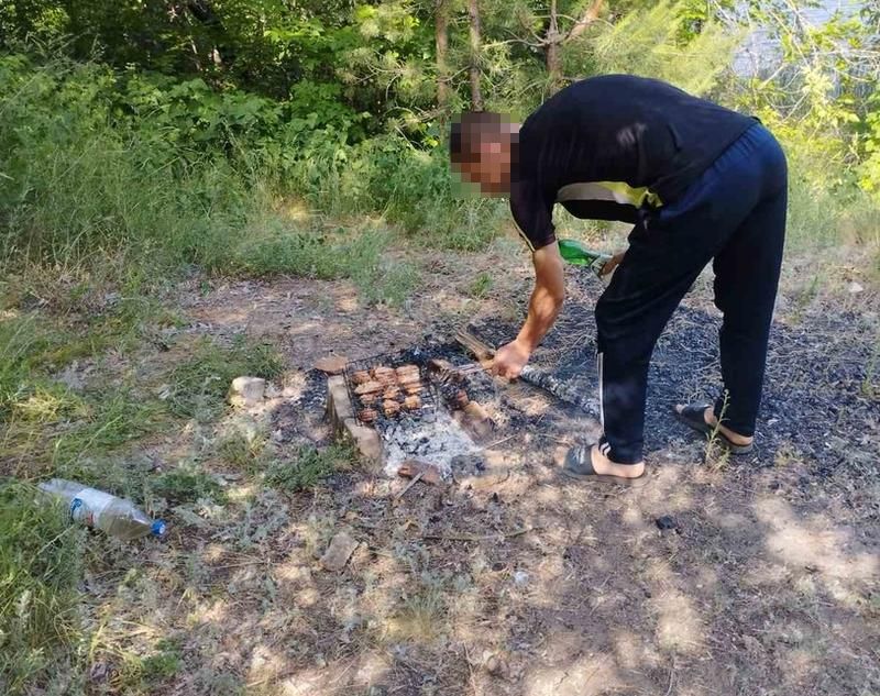 Зеленой «короне» Сызрани завидуют жители других муниципалитетов - но ее легко потерять