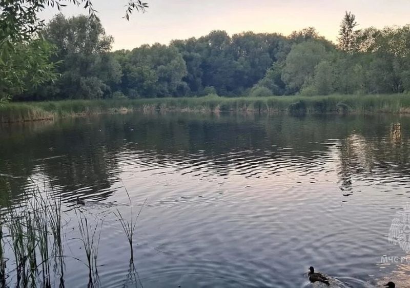 В Самарской области в пруду погиб мужчина, которого никто из местных не знал