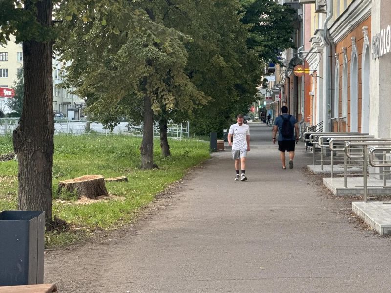 «У кого рука поднялась?»: жители Сызрани в шоке от вырубки деревьев на улице Московской