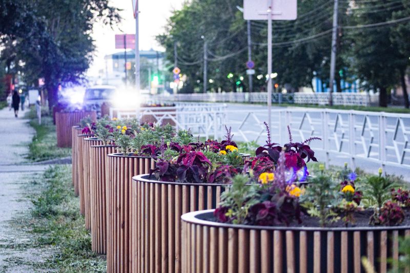 В Сызрани улица Московская заметно похорошела после покоса