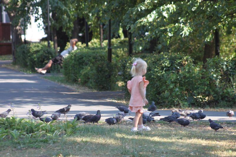 В Госдуме предложили не «гонять» родителей по соцслужбам и назначать детское пособие удобным способом