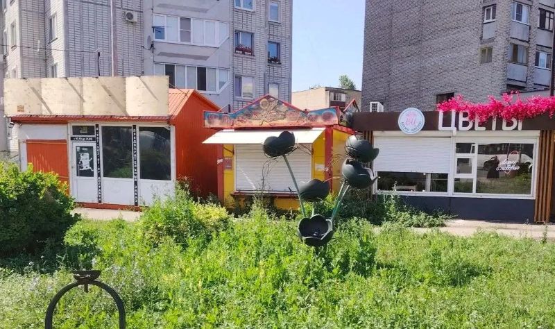 А ну-ка поподробнее: «Страшную подругу» красивой Сызрани вывезли с улицы Московской