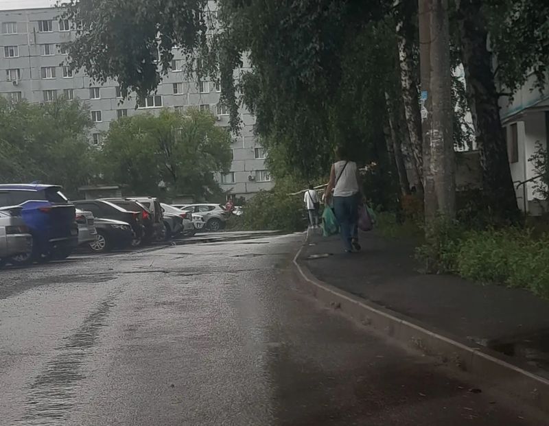 В Сызрани гроза потрепала деревья и, вконец разгулявшись, оставила без воды целый район