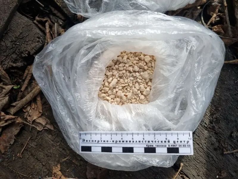 Жителю Сызрани грозит пожизненный срок - на след вывела переписка