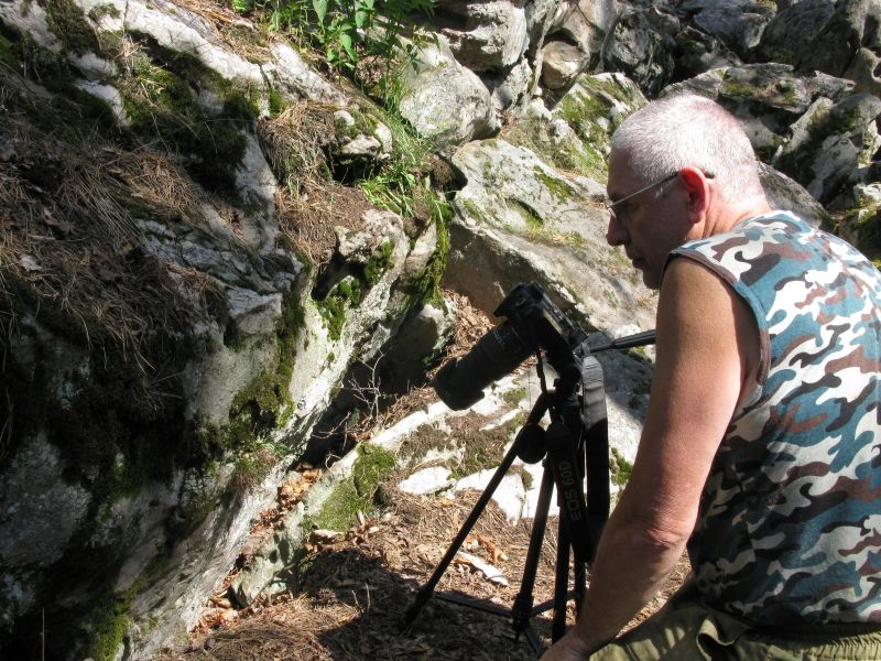 В Самарской области обновили структуру ведения Красной книги