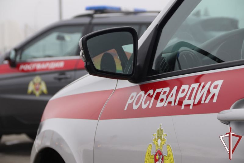 Лихие не 90-е: во дворе Центрального района Тольятти парня пырнули ножом