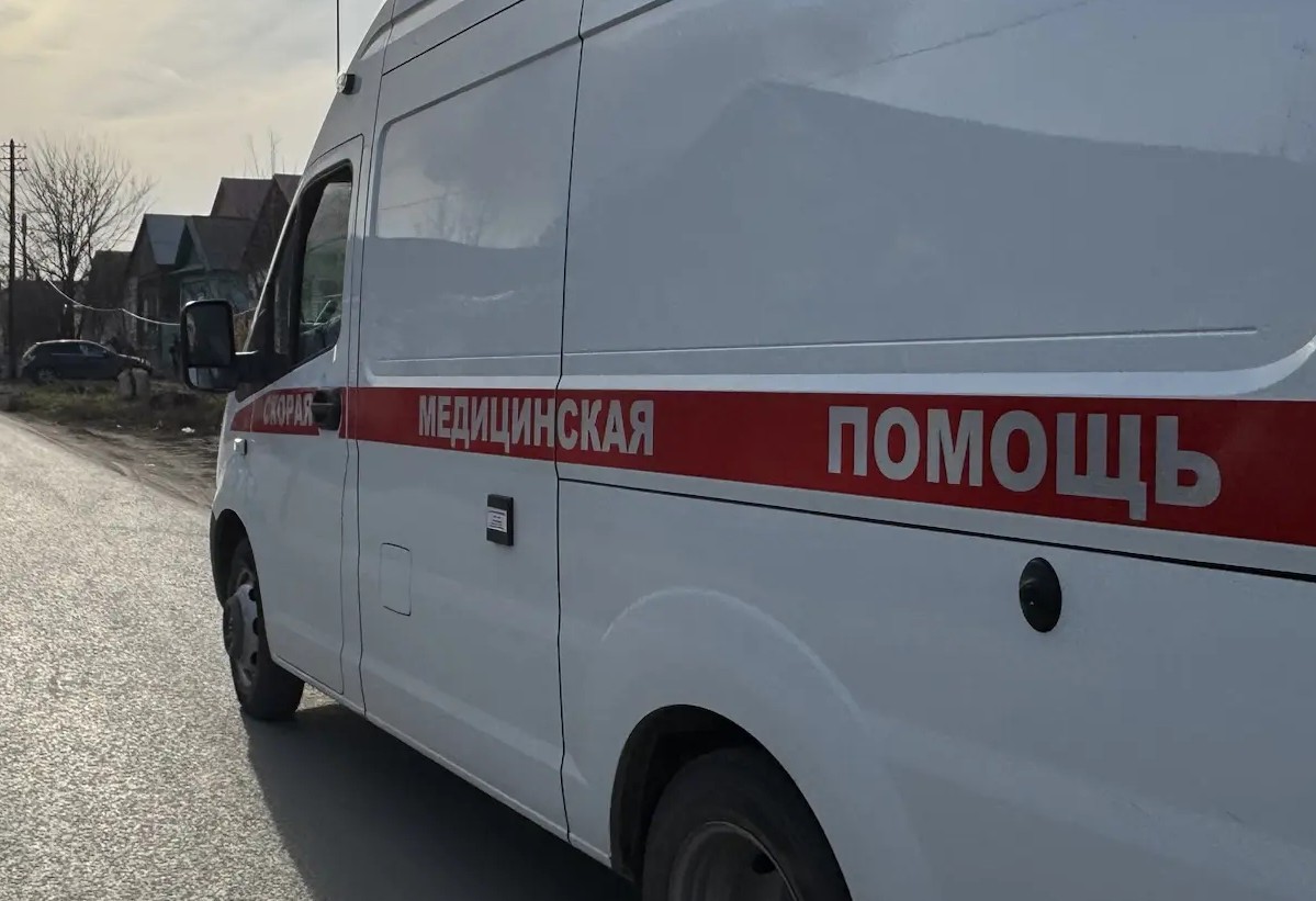«Медведь напал на женщину»: жители сообщают о ЧП в поселке