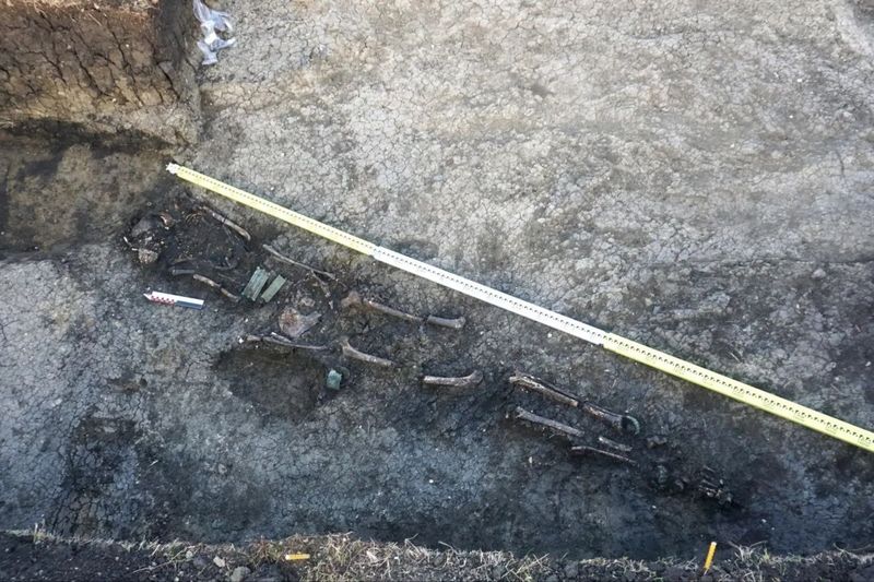 Самарцы обнаружили в земле останки лошади и отрубленную человеческую голову