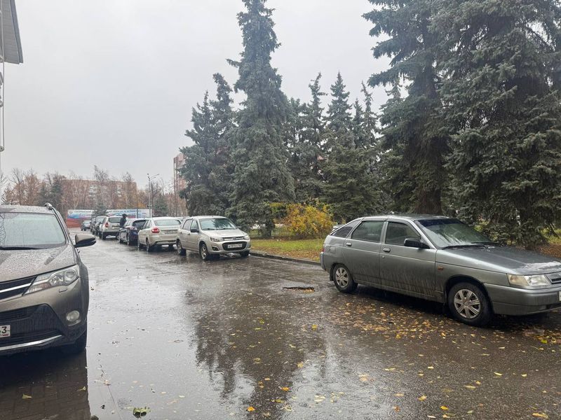 В ближайшую неделю лишь один день не будет дождя