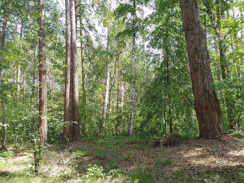 В Самарской области двух человек нашли мертвыми - их не успели спасти