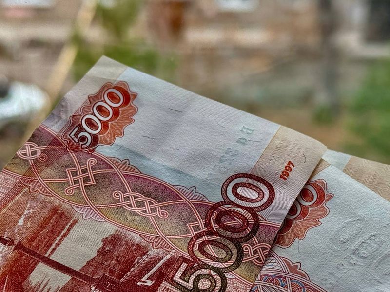 Жители Сызрани могут побороться за деньги Президентского гранта, защитить природу и сделать лучше свой регион