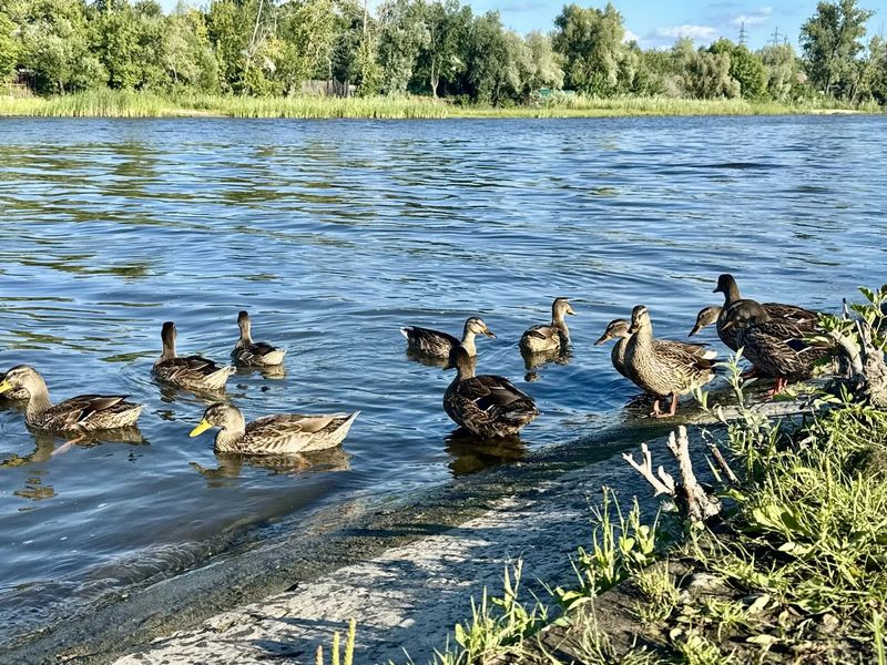 В Сызрань и Самарскую область на несколько дней вернулось лето