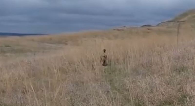 Сурки-байбаки из Подвалья ушли на зимовку - где стояли, там и упали