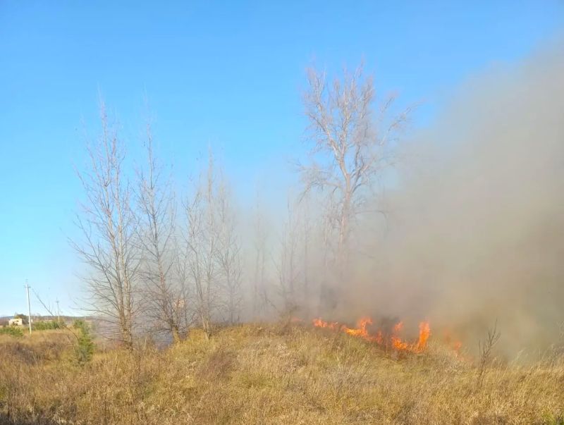 В Самарской области завершен пожароопасный период, но мусор продолжает активно гореть в Сызрани и районах
