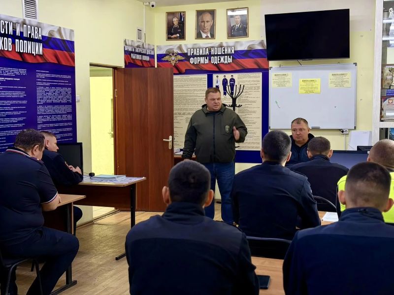 Самым крупным был лось: в ГАИ Сызрани назвали количество сбитых с начала года диких животных