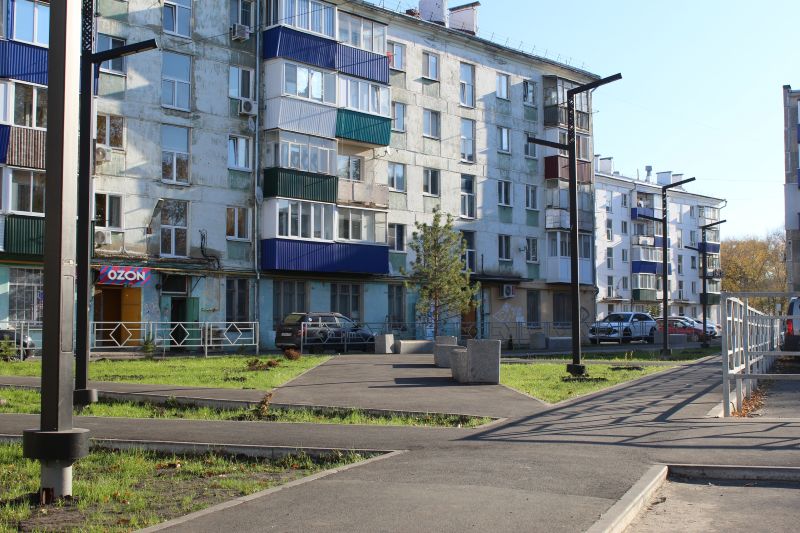 В Сызрани на двух улицах взошел новый газон