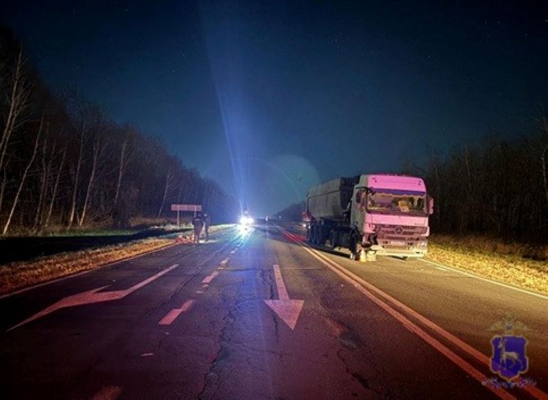 Трагедия на трассе: в Самарской области погибли двое пешеходов